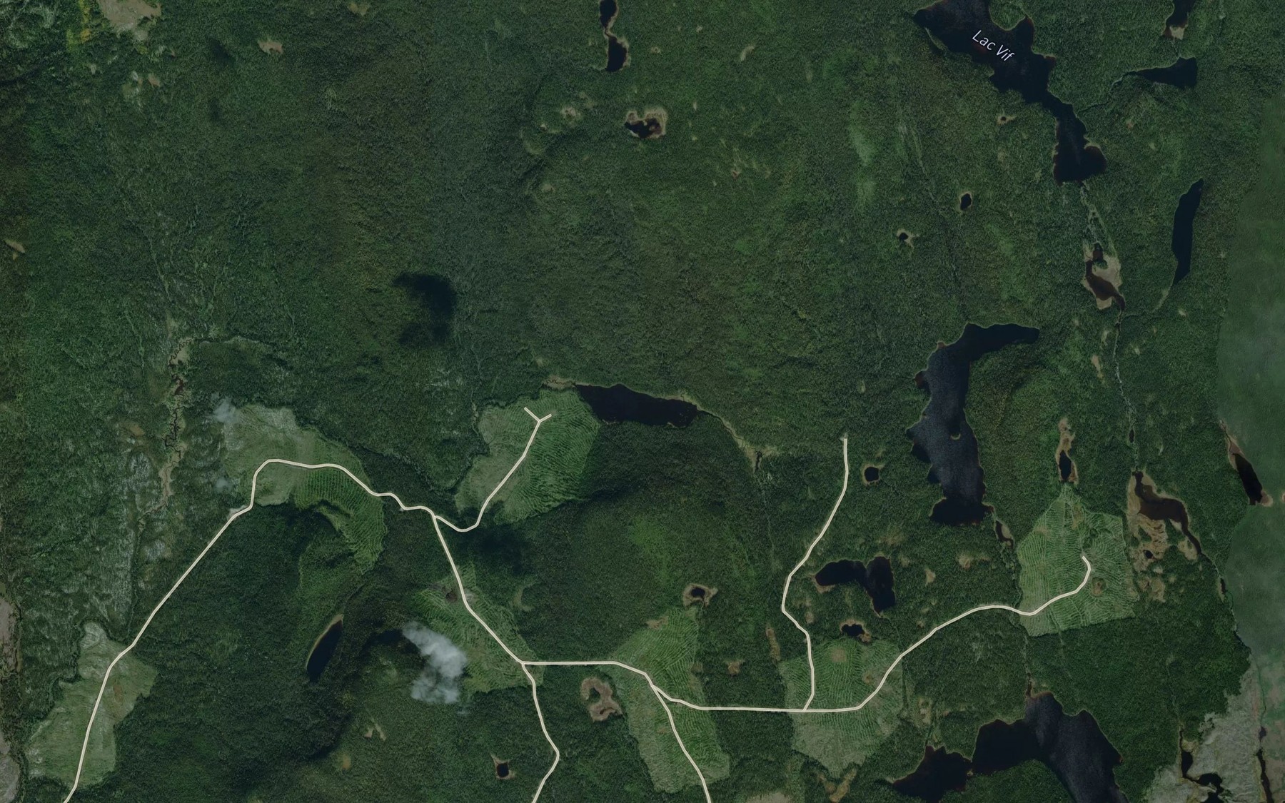 Satellite map of the Lac Moule