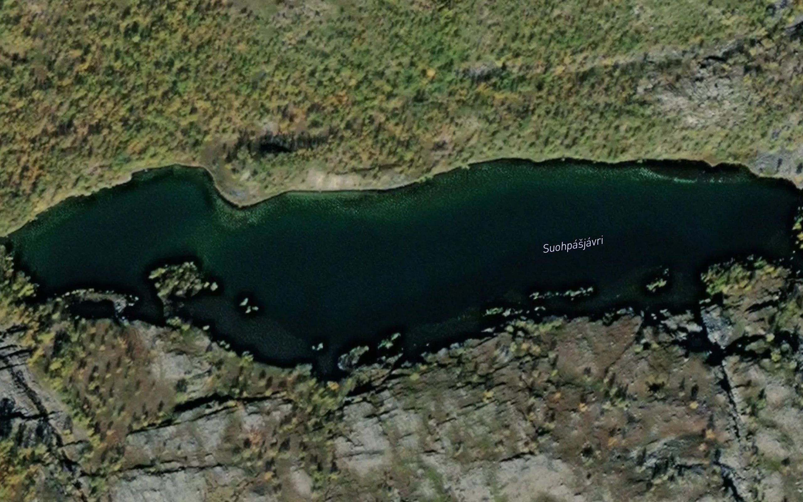 Suoppasjavri