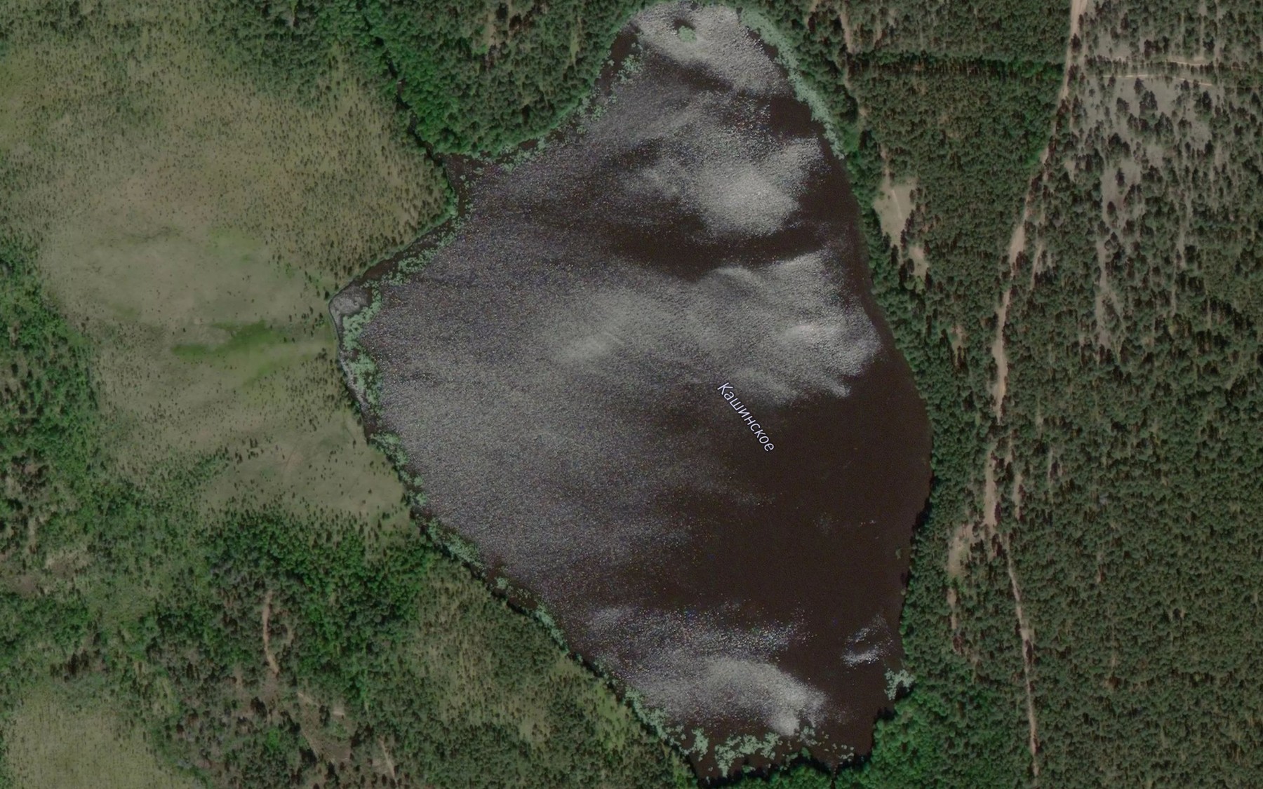 Satellite map of the Ozero Kishinskoye