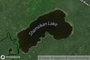 Shamokan Lake