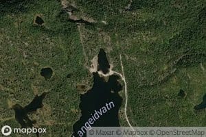 Skardstjorn