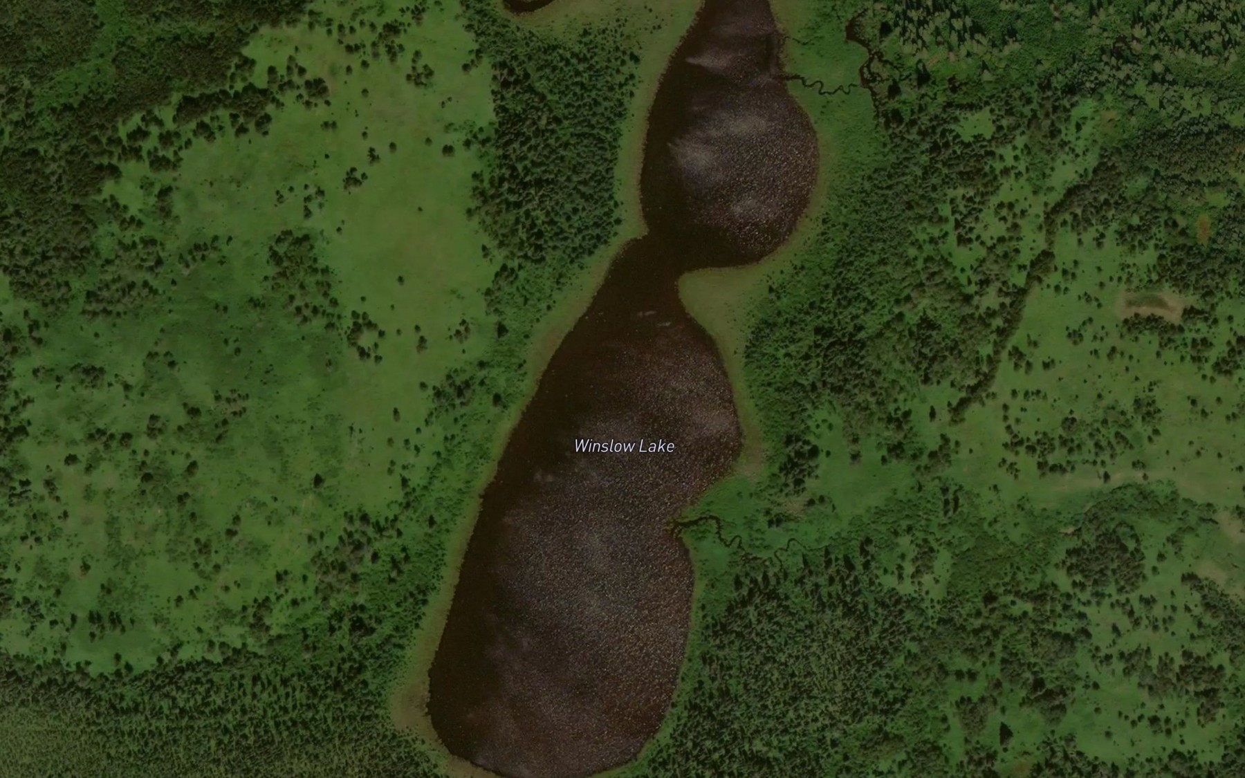 Satellite map of the Winslow Lake