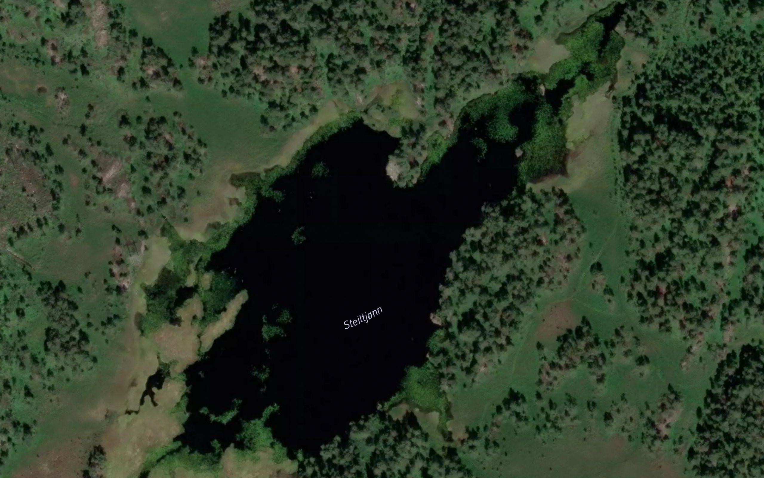 Steiltjonn