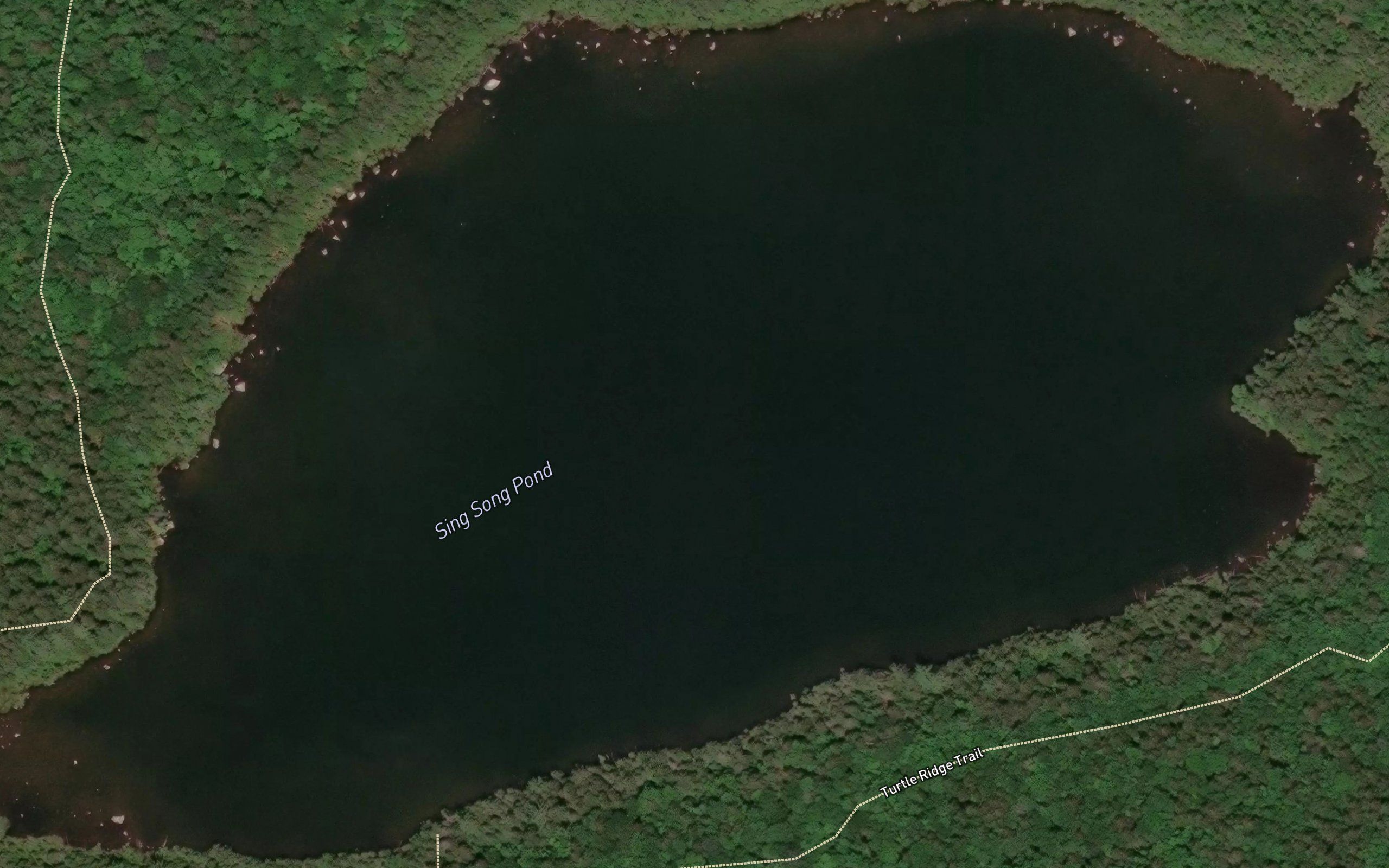 Harding Pond