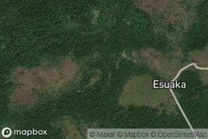Ngubasa