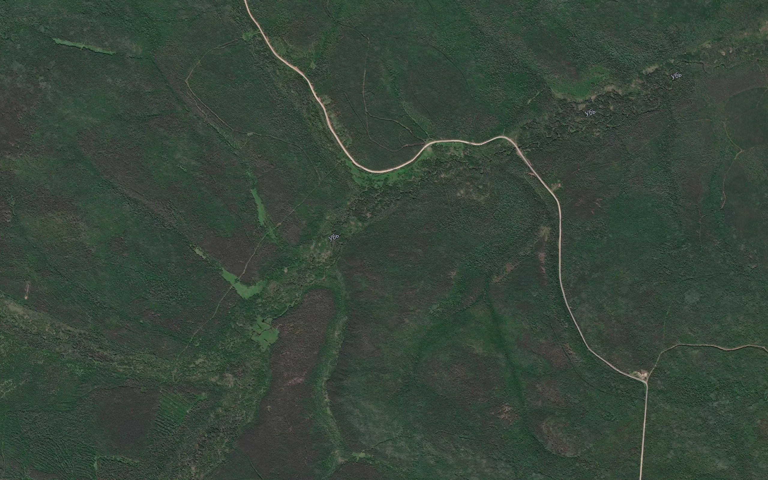 Nikonov