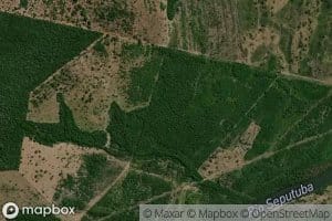 Corredeira Figueirinha