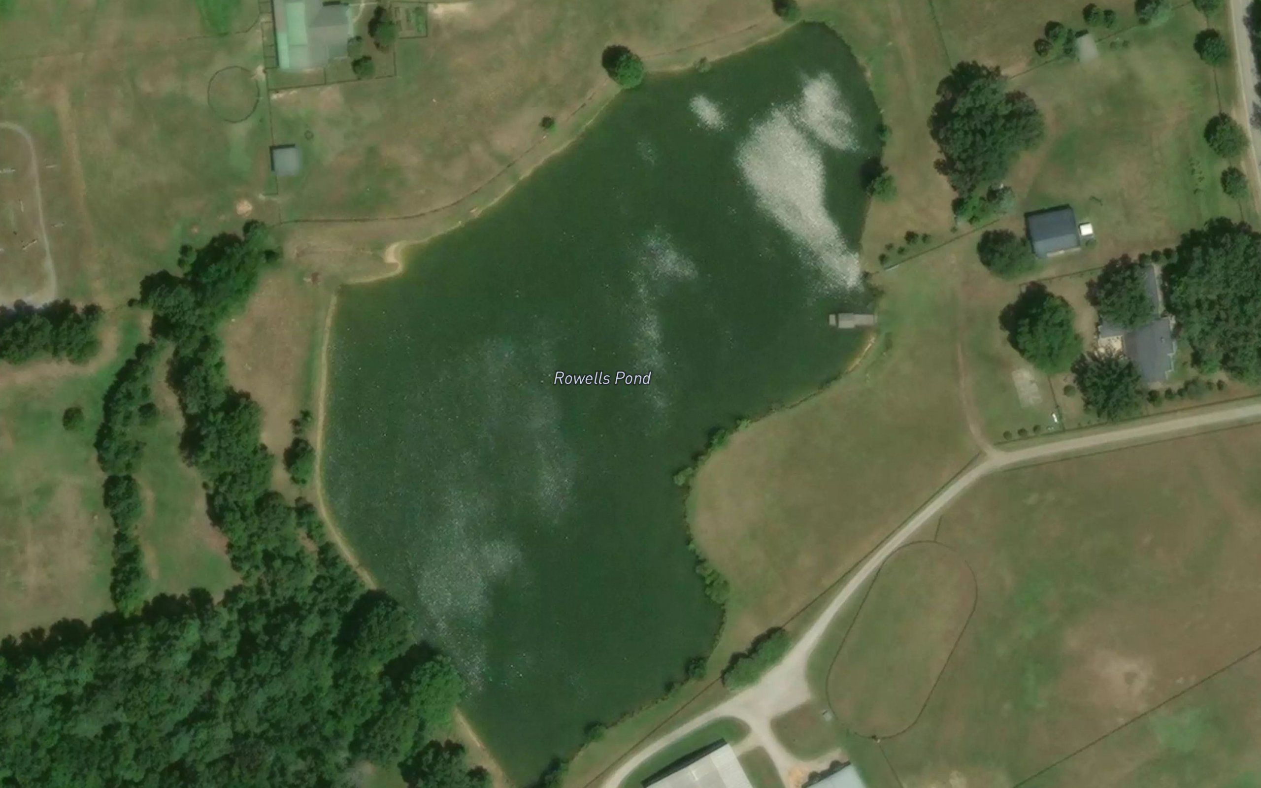 Rowells Pond