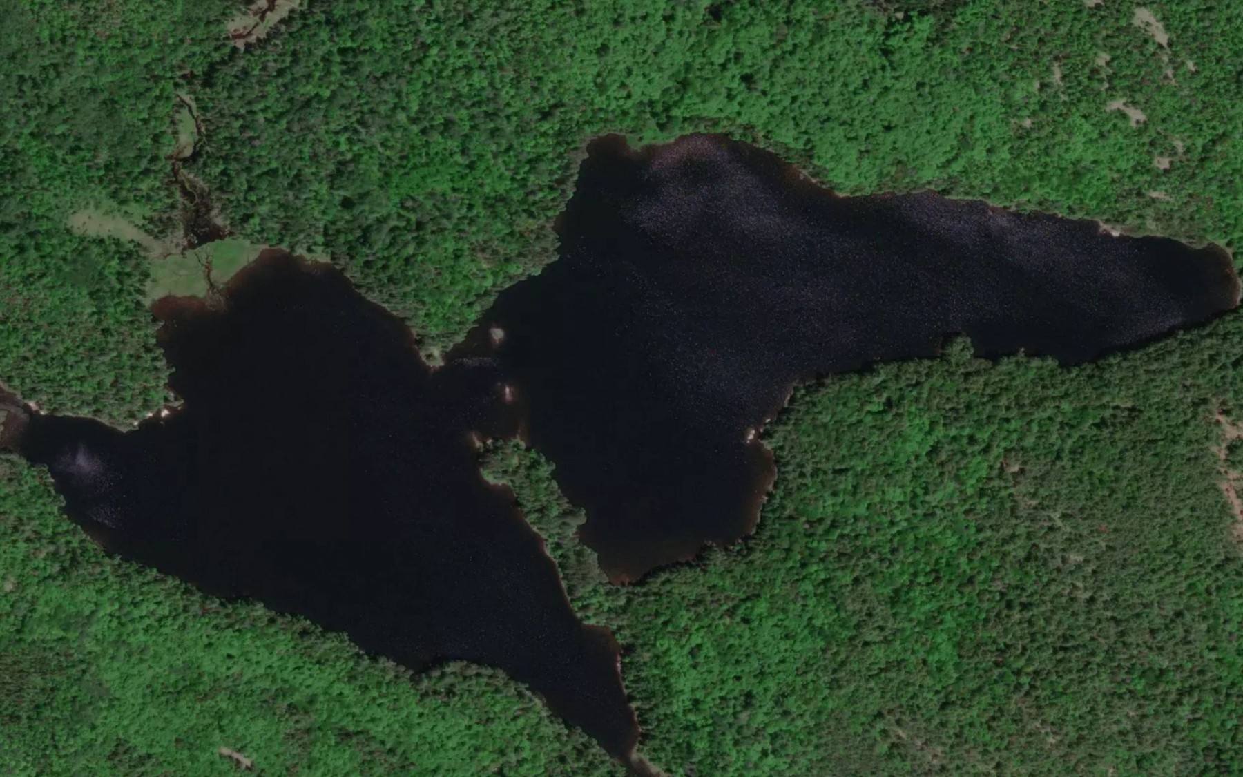 Satellite map of the Conway Lake