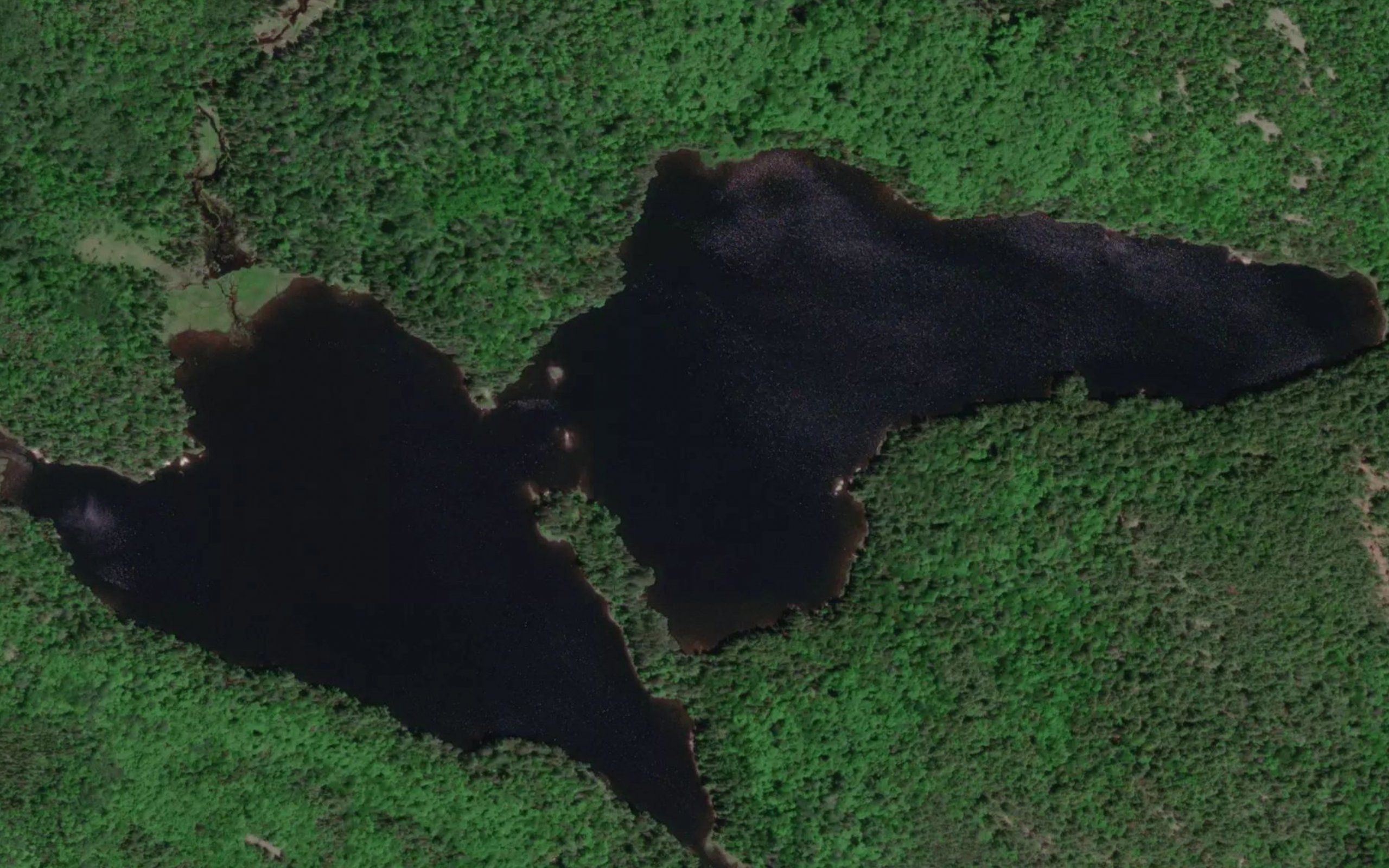 Conway Lake