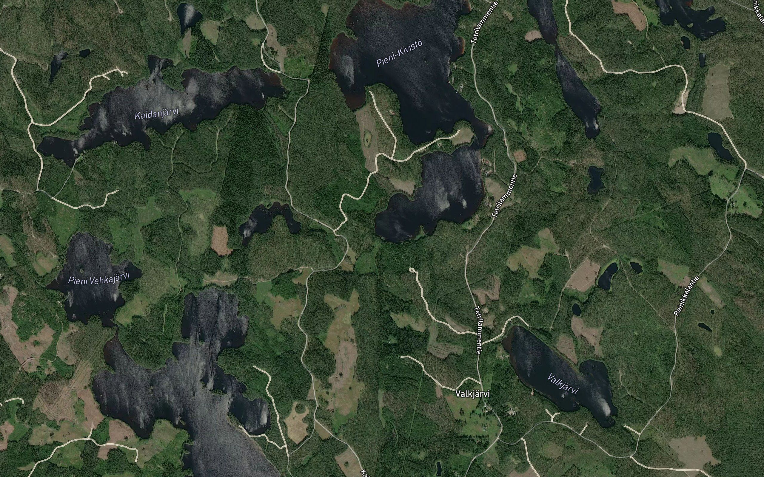 Kummunoja