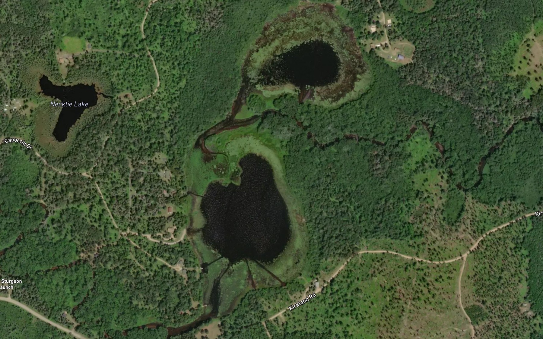 Satellite map of the Brown Lake