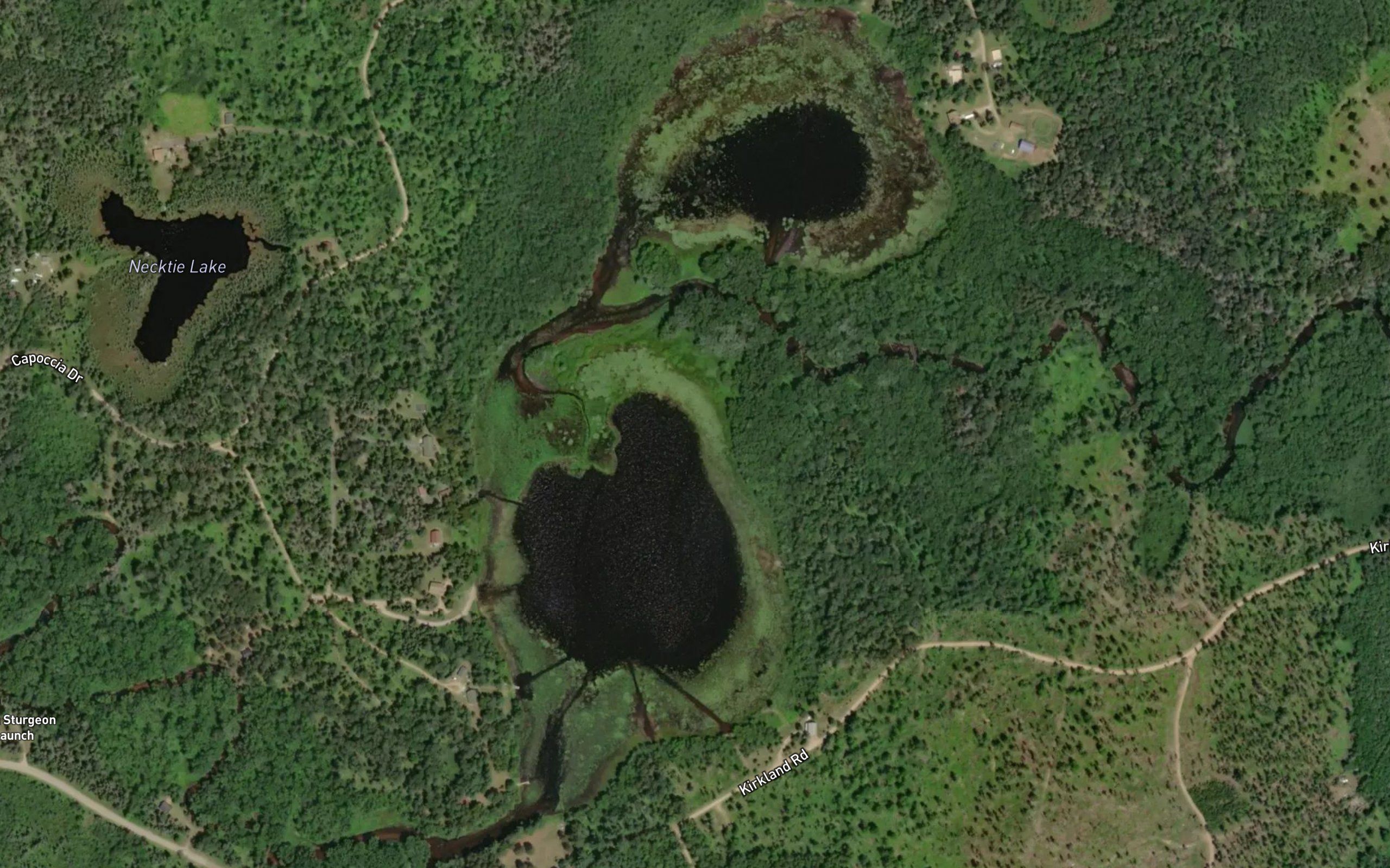 Brown Lake