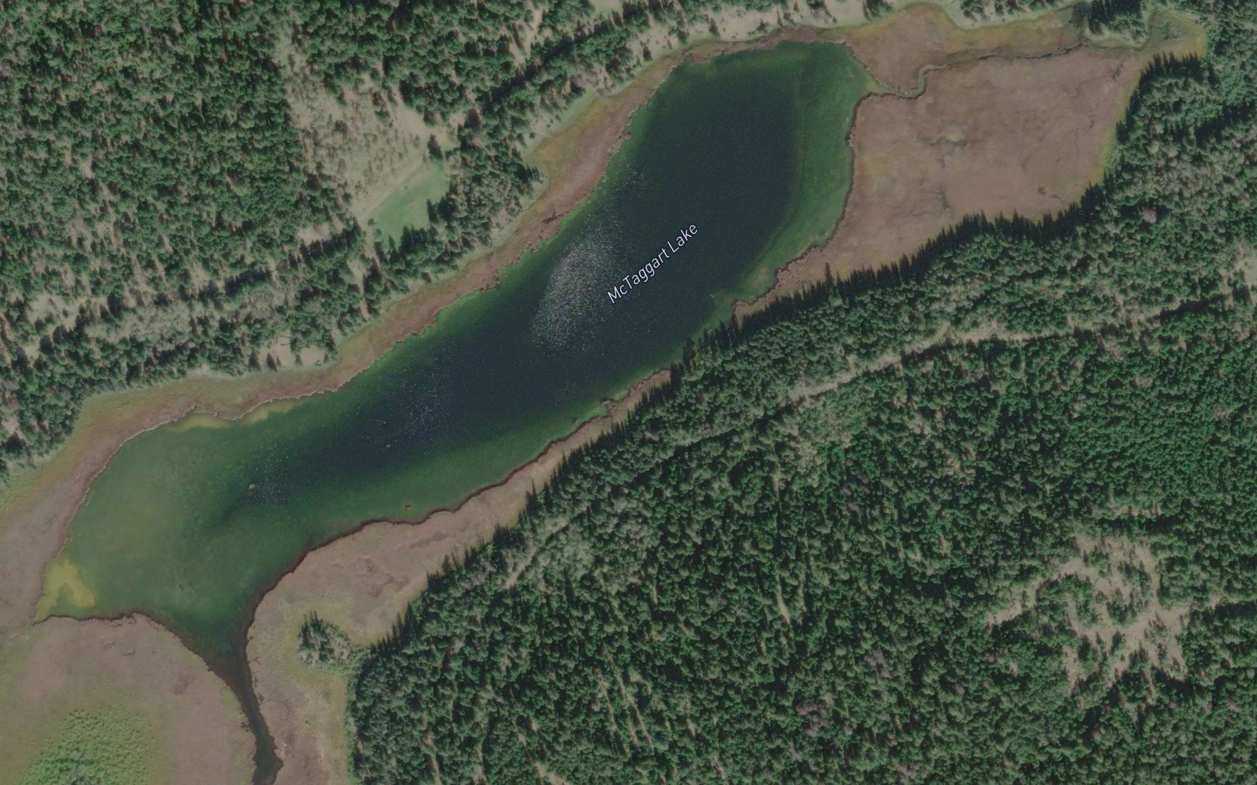 McTaggart Lake