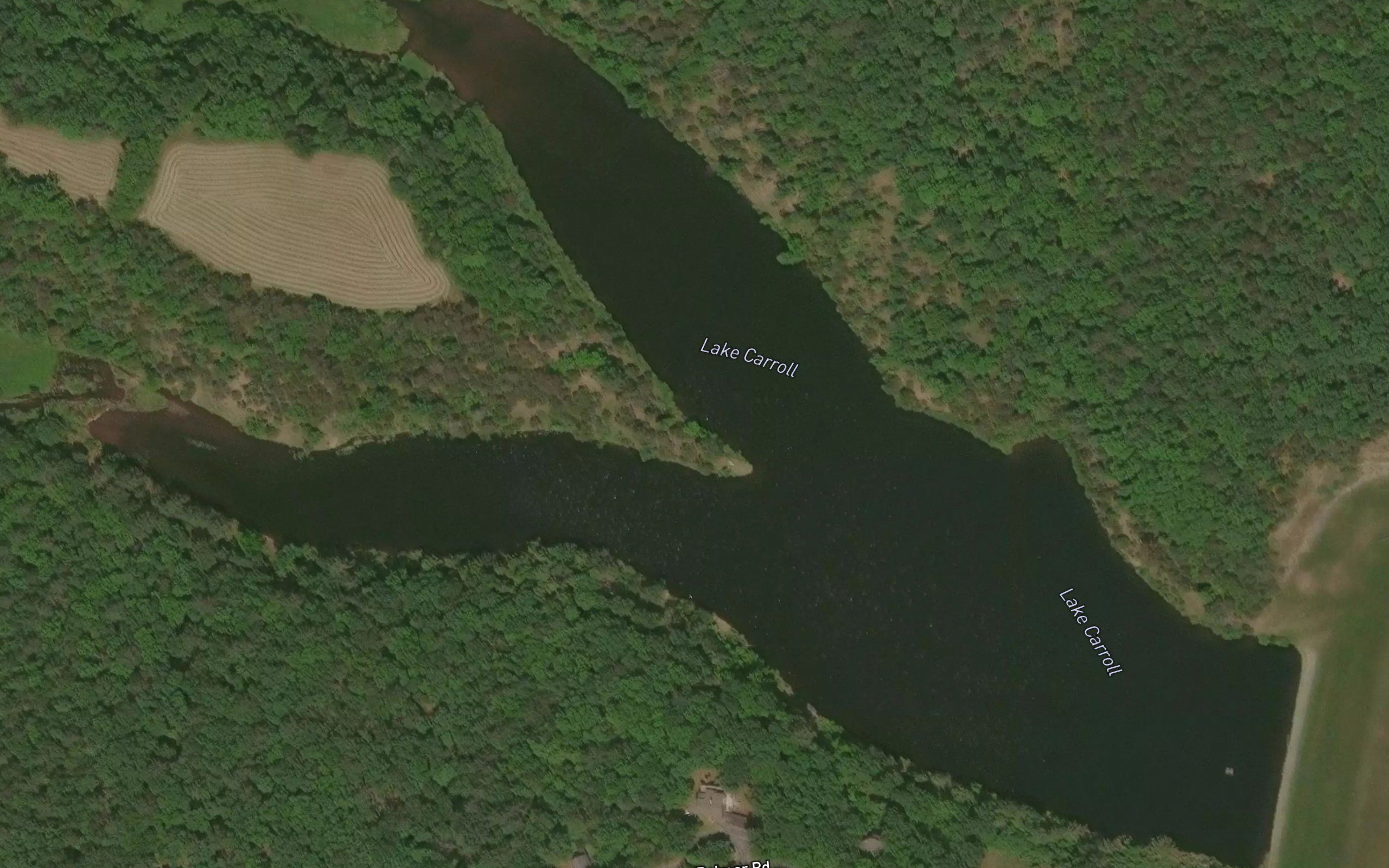 Lake Carroll