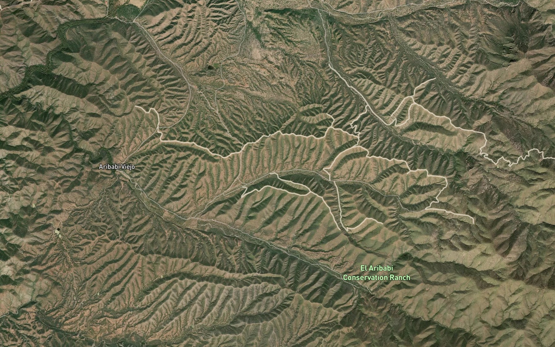 Satellite map of the Canada Ancha