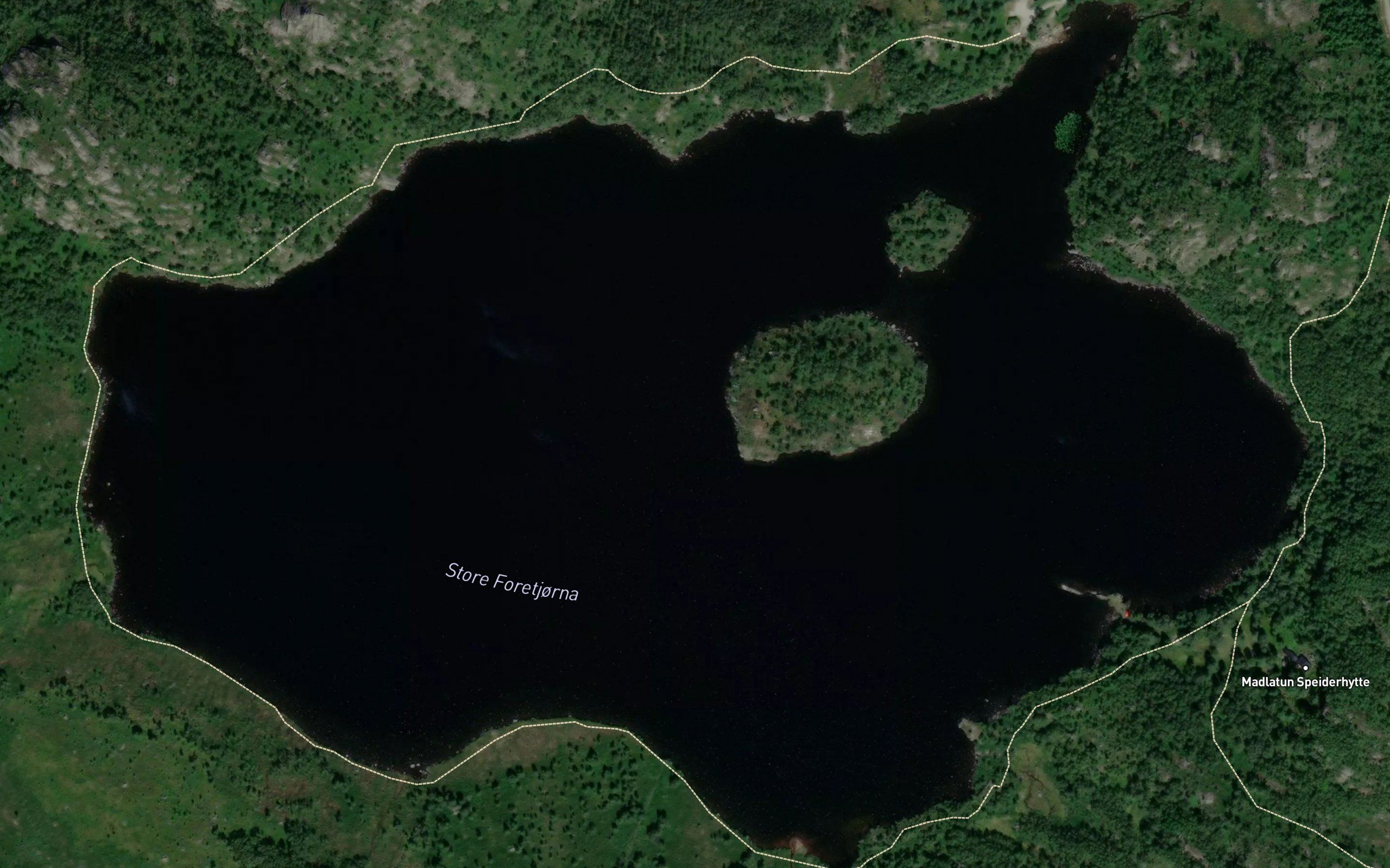 Foretjorna,store