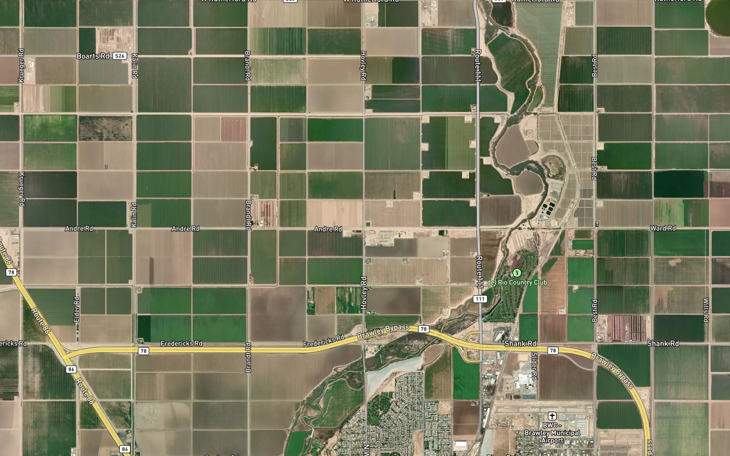Spruce Lateral Three
