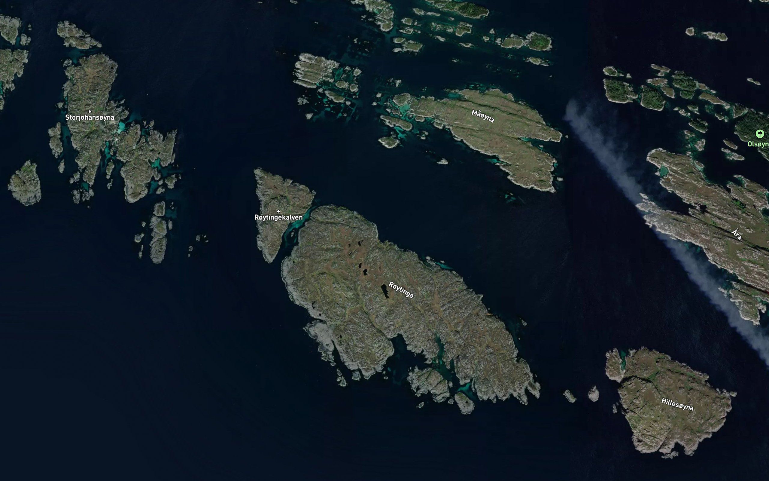 Tytebaervika