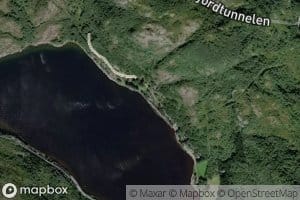 Grautvika