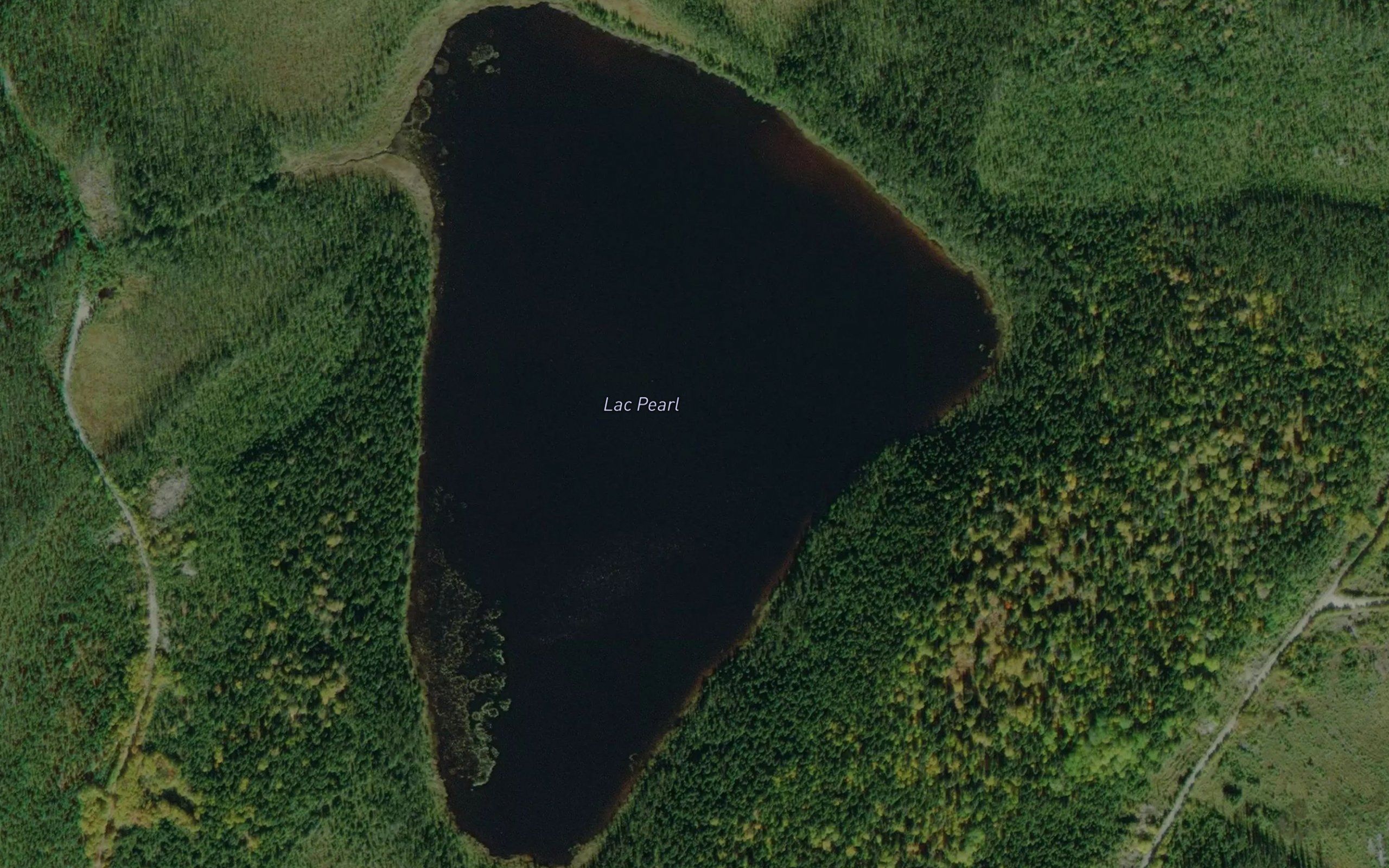 Lac Pearl