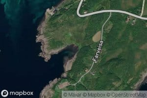 Dingelvika