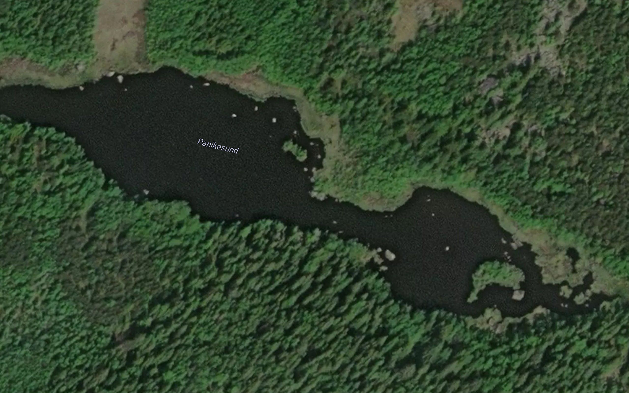 Panikesund