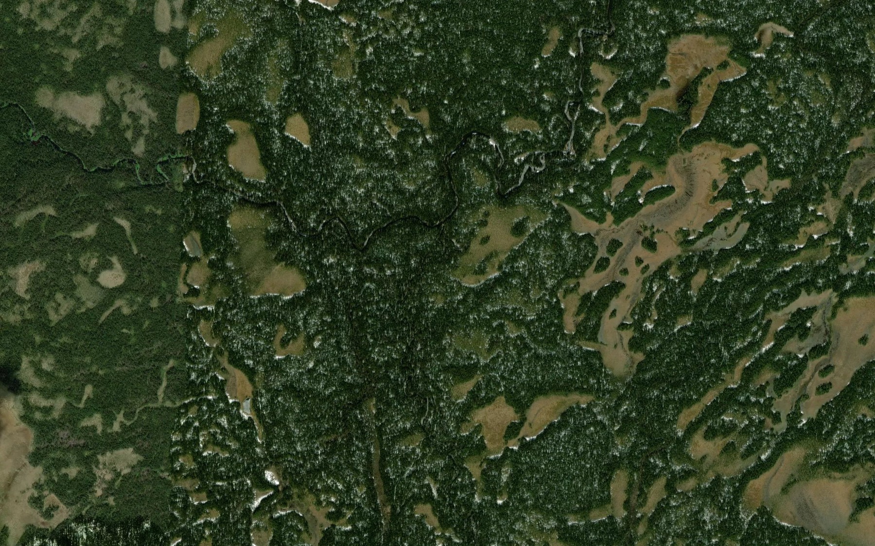 Satellite map of the Ruch'yevskiy
