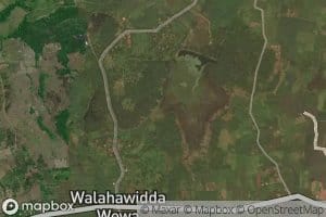 Paluketu Wewa
