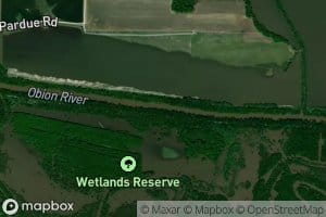 Obion Lake (historical)