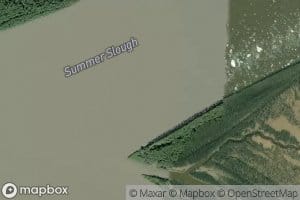Summer Slough