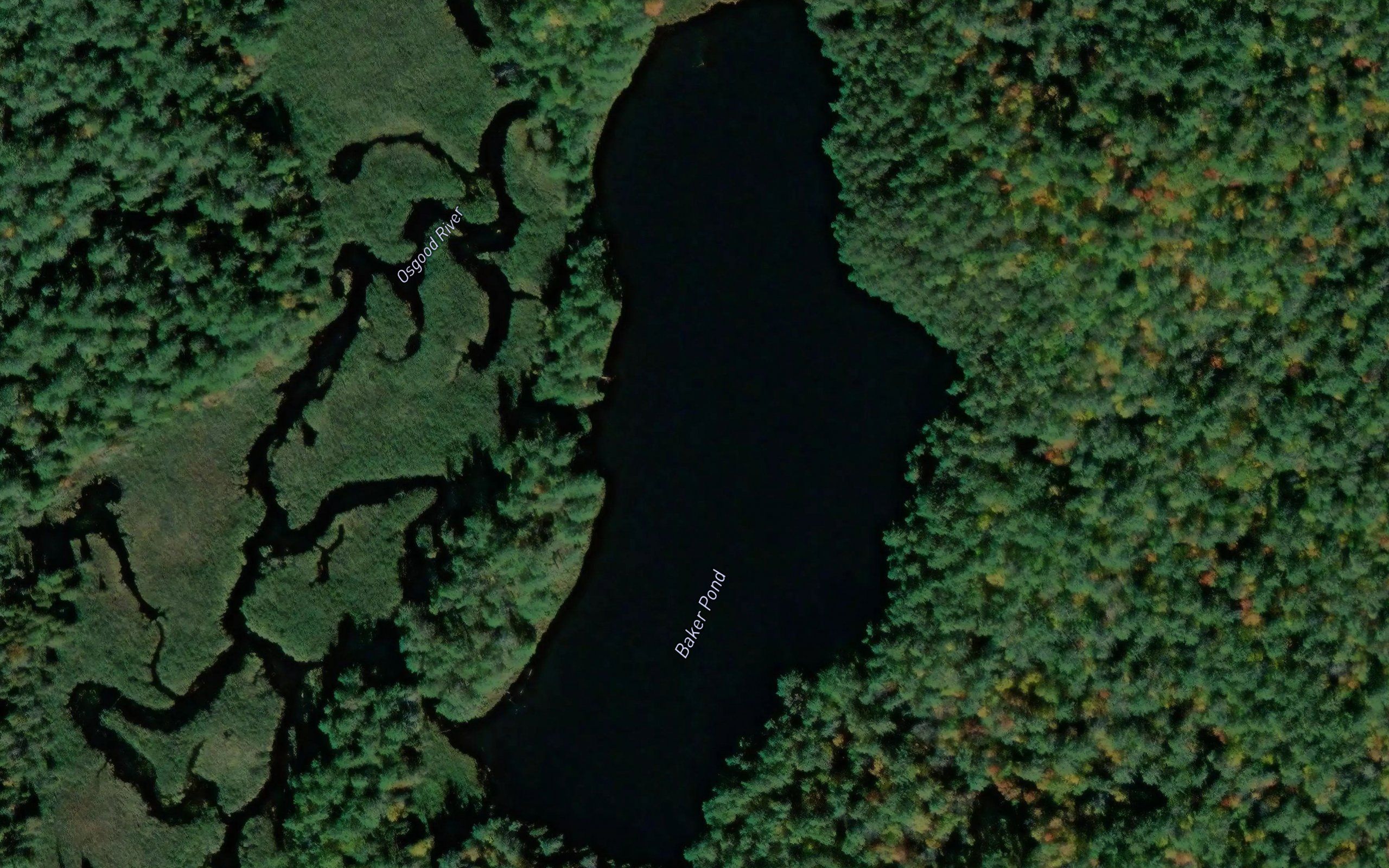 Baker Pond