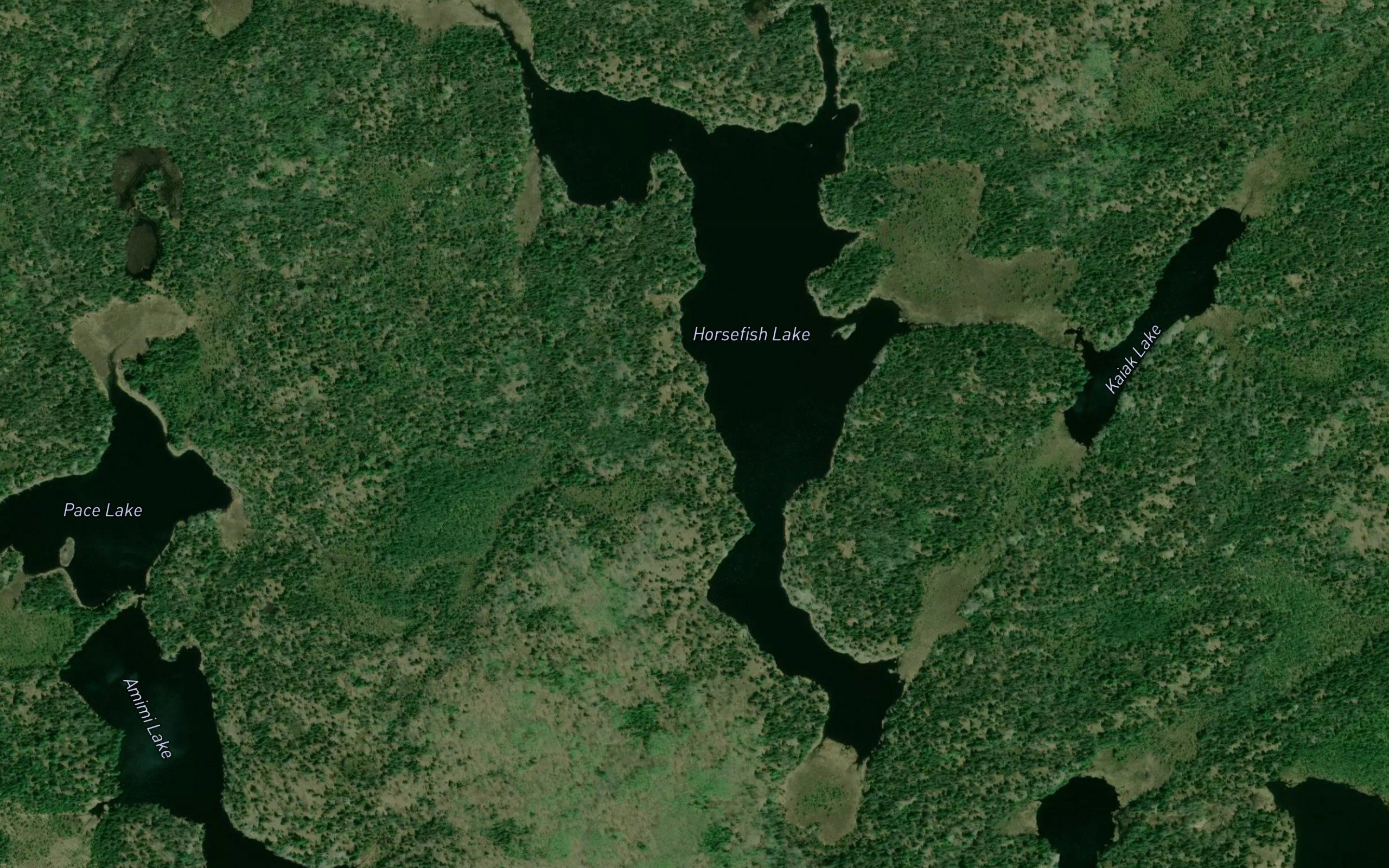 Horsefish Lake