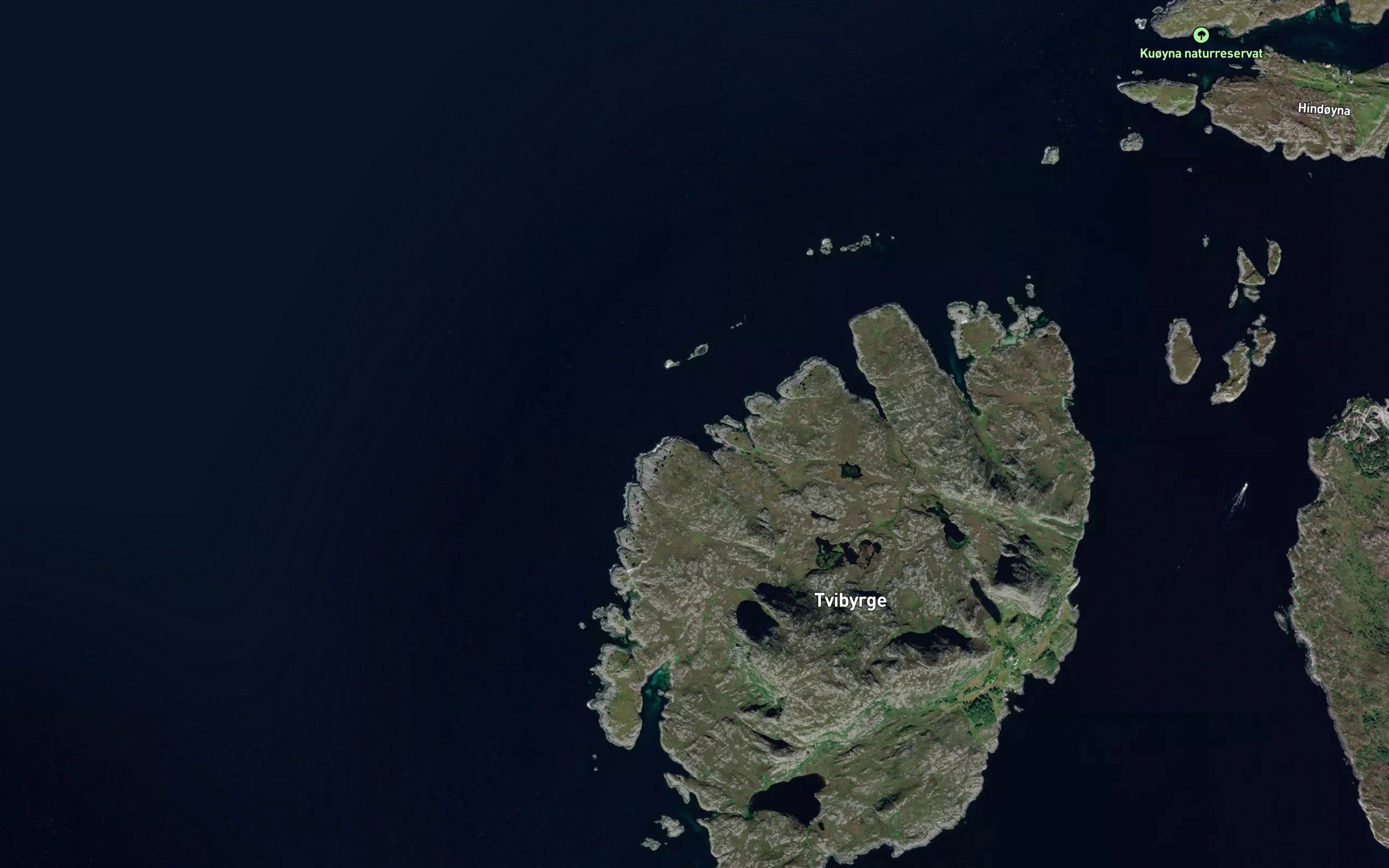 Skjenevagan