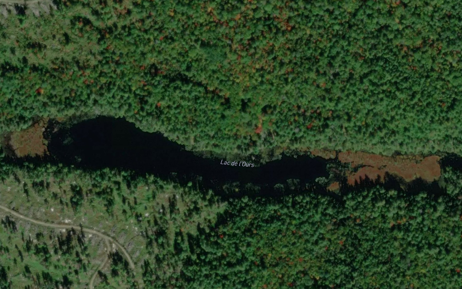 Satellite map of the Lac de l'Ours