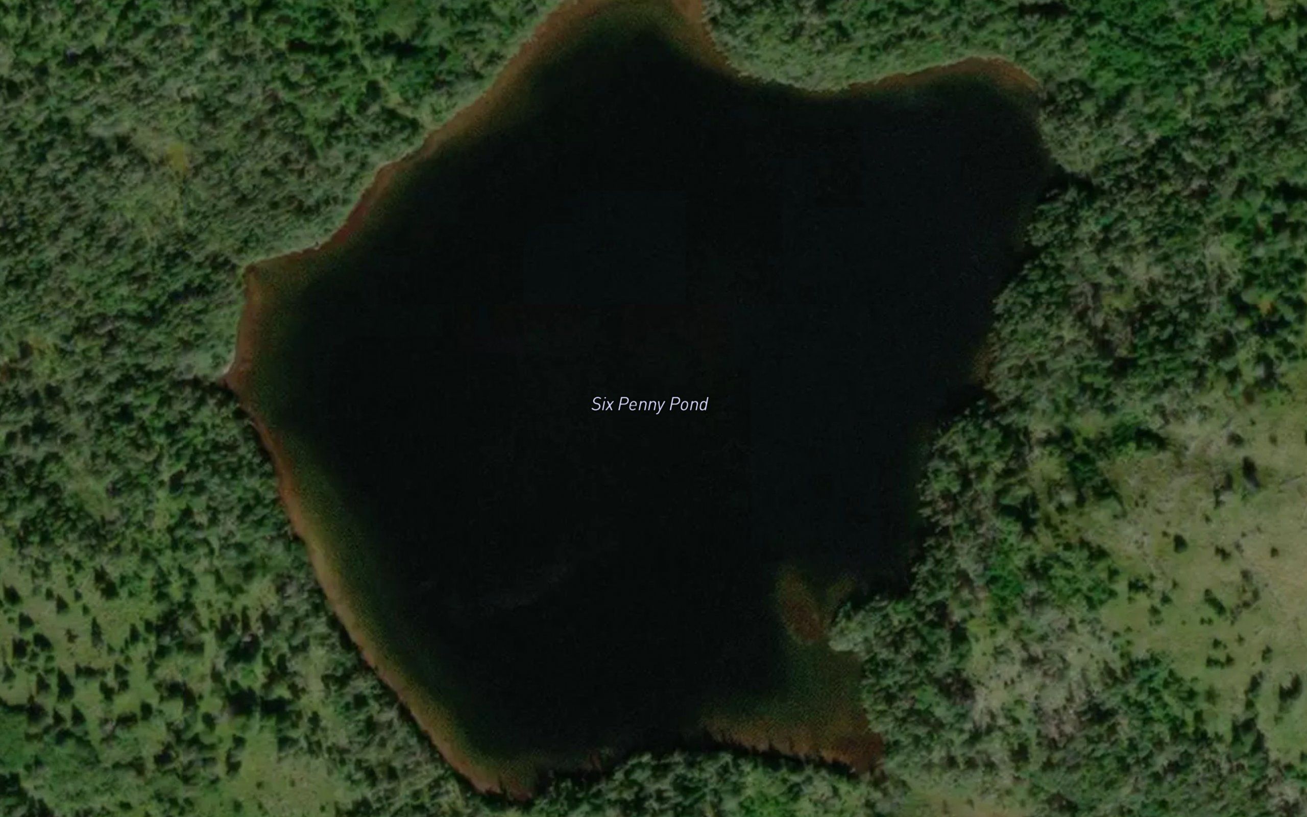Six Penny Pond