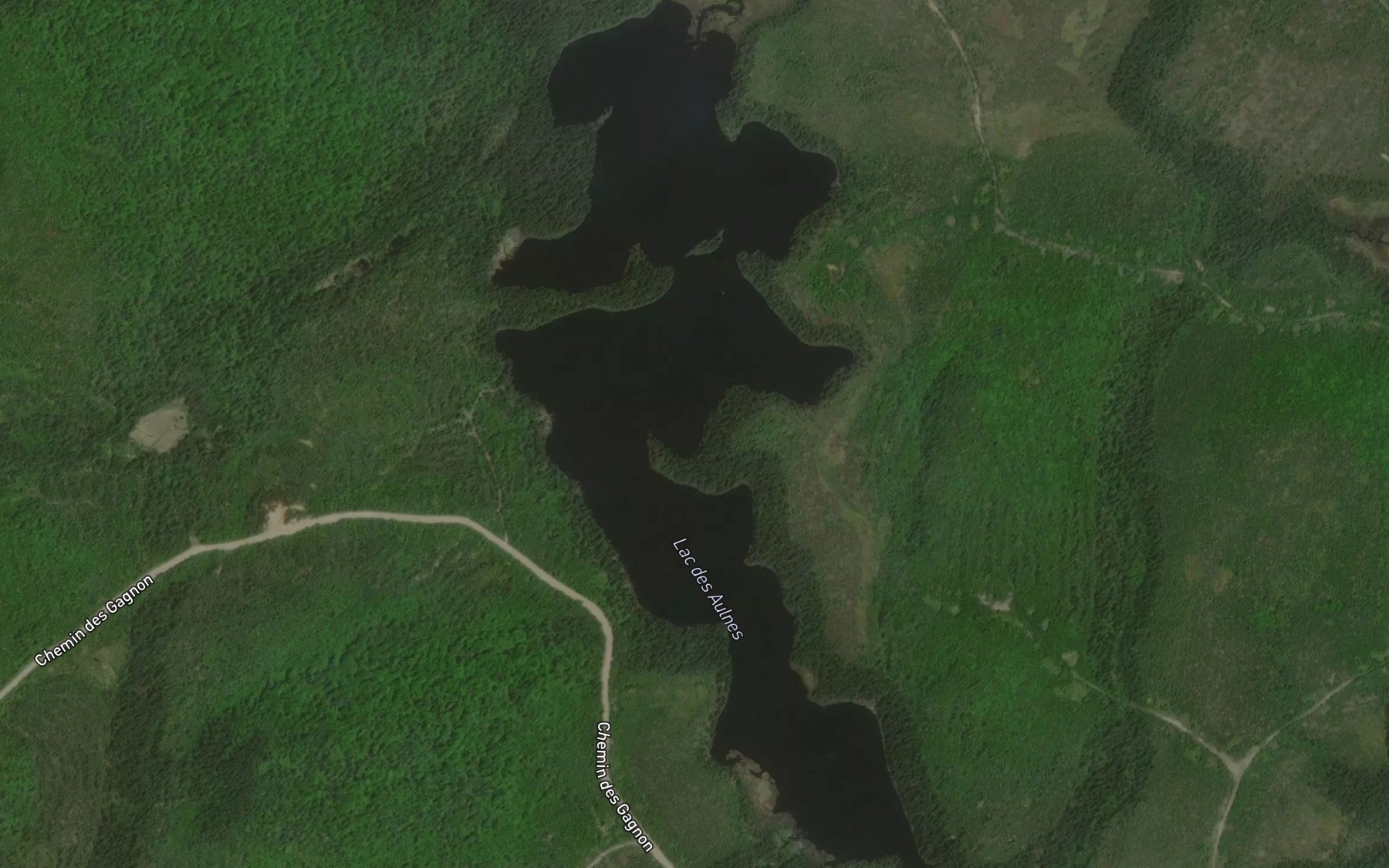Satellite map of the Lac des Aulnes
