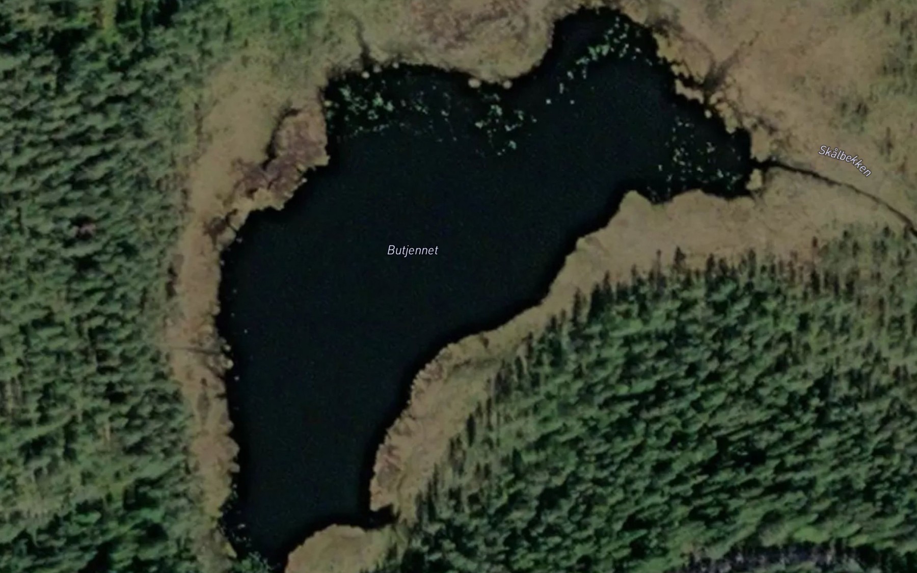 Satellite map of the Butjernet
