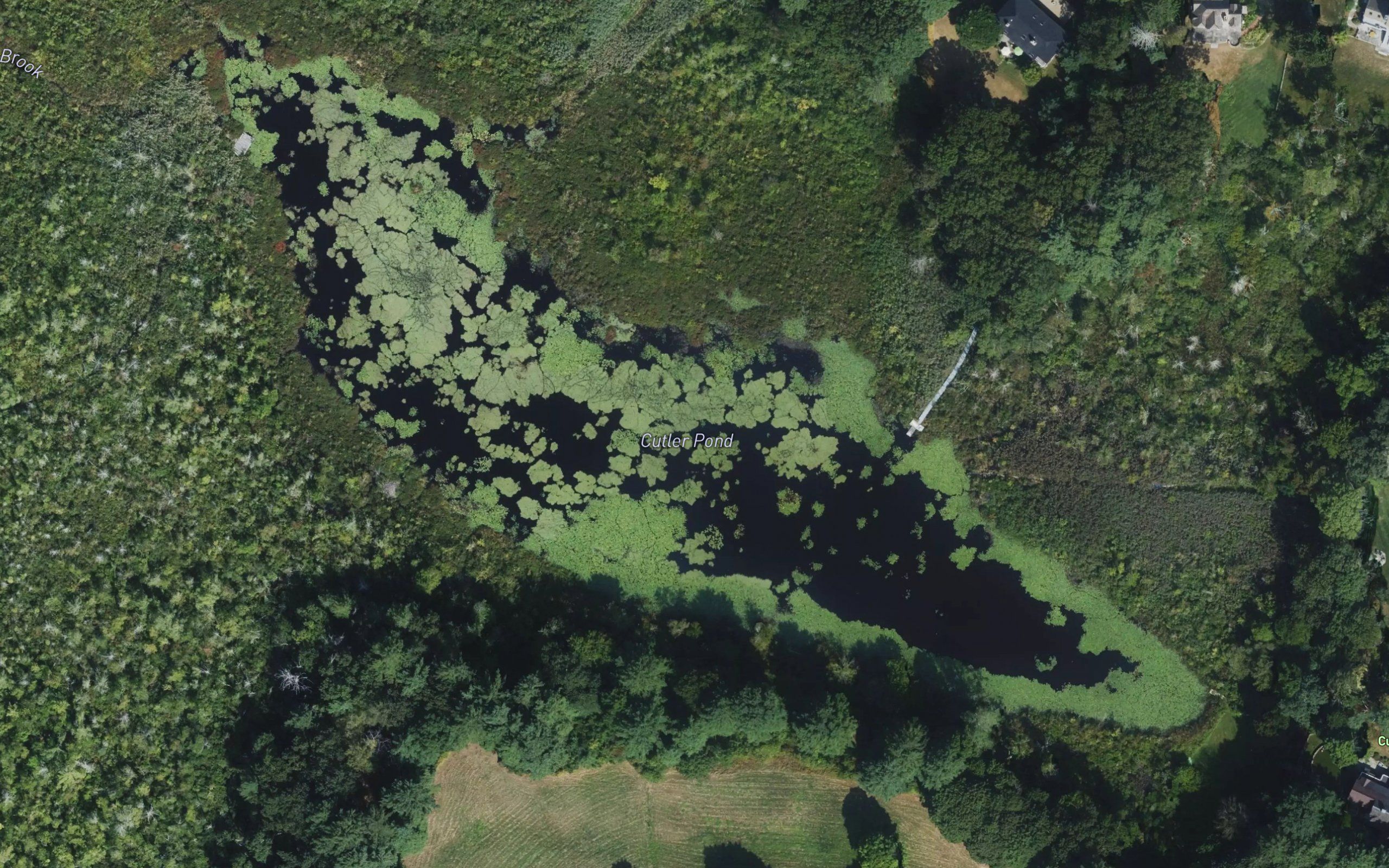 Cutler Pond