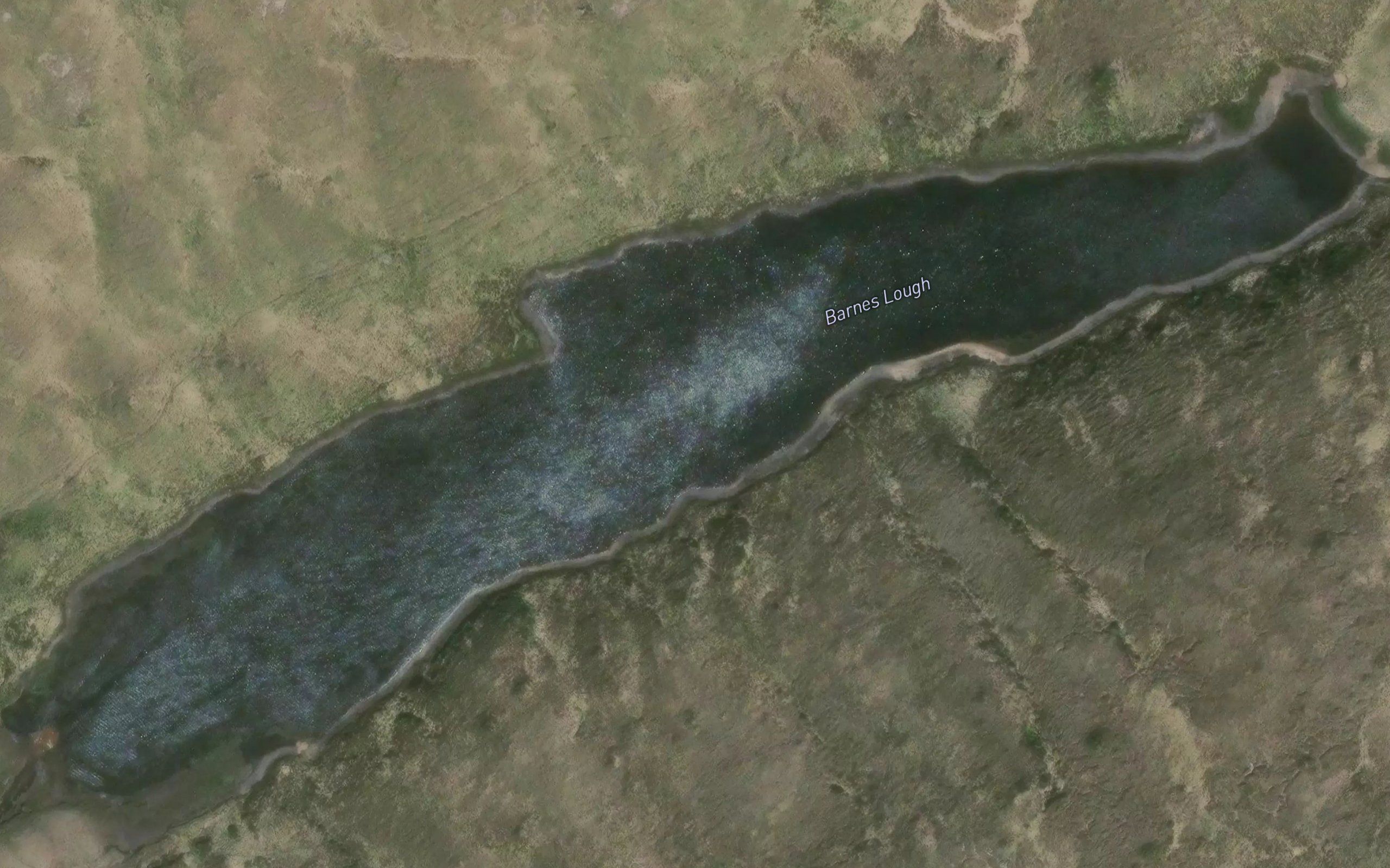 Barnes Lough