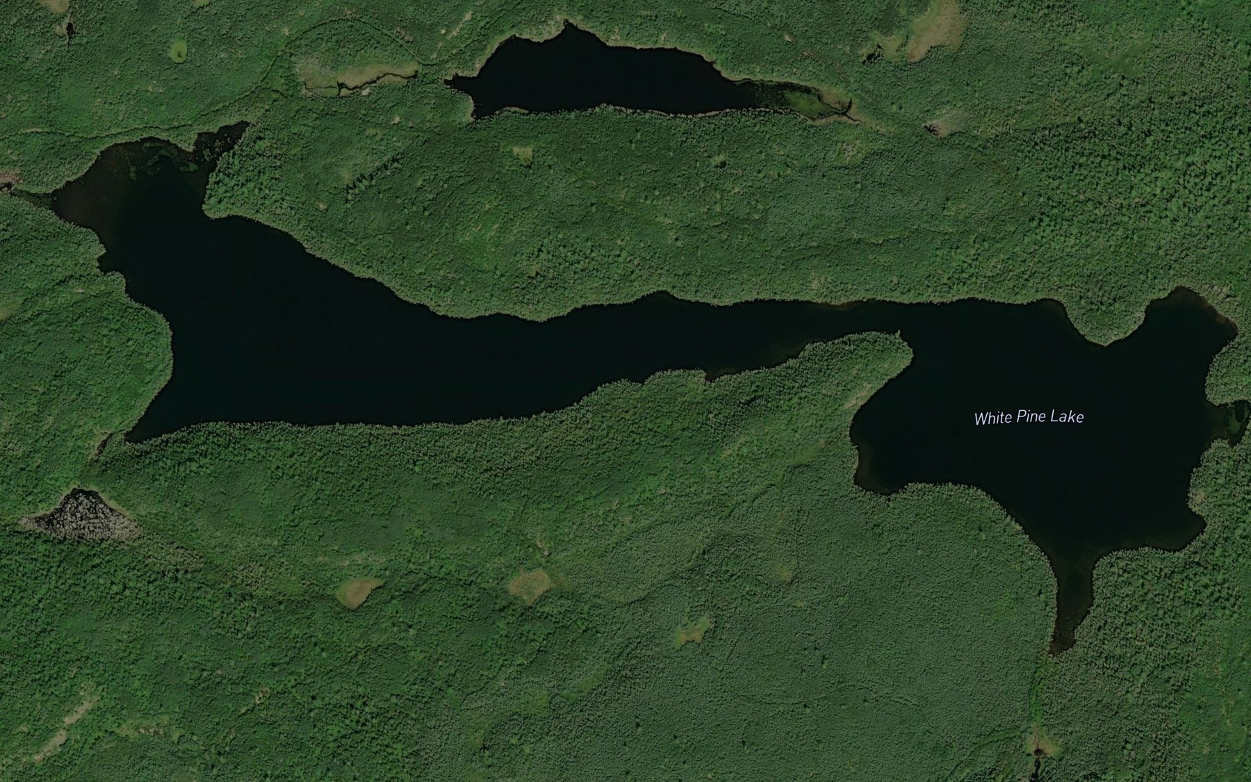 Satellite map of the White Pine Lake