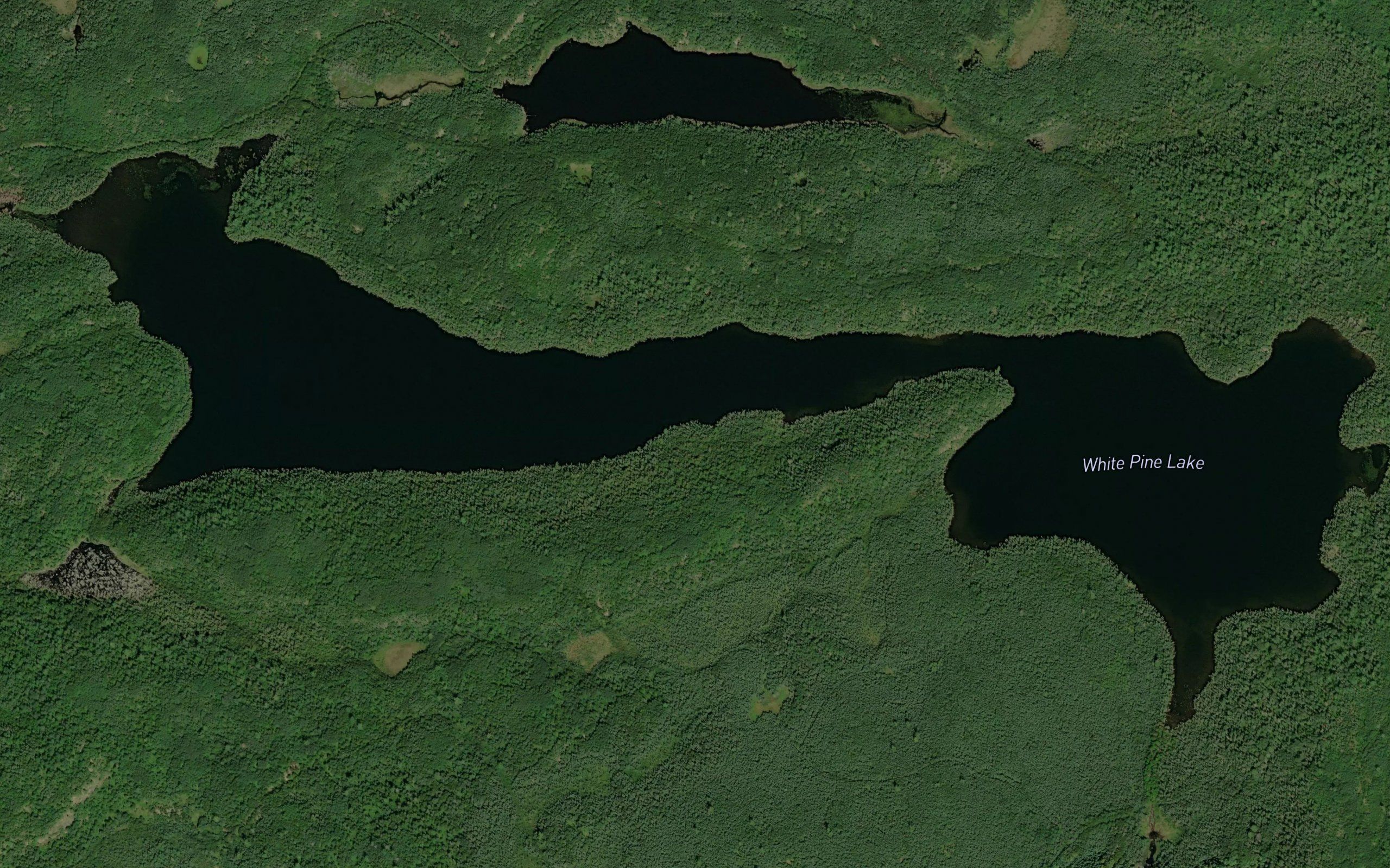 White Pine Lake