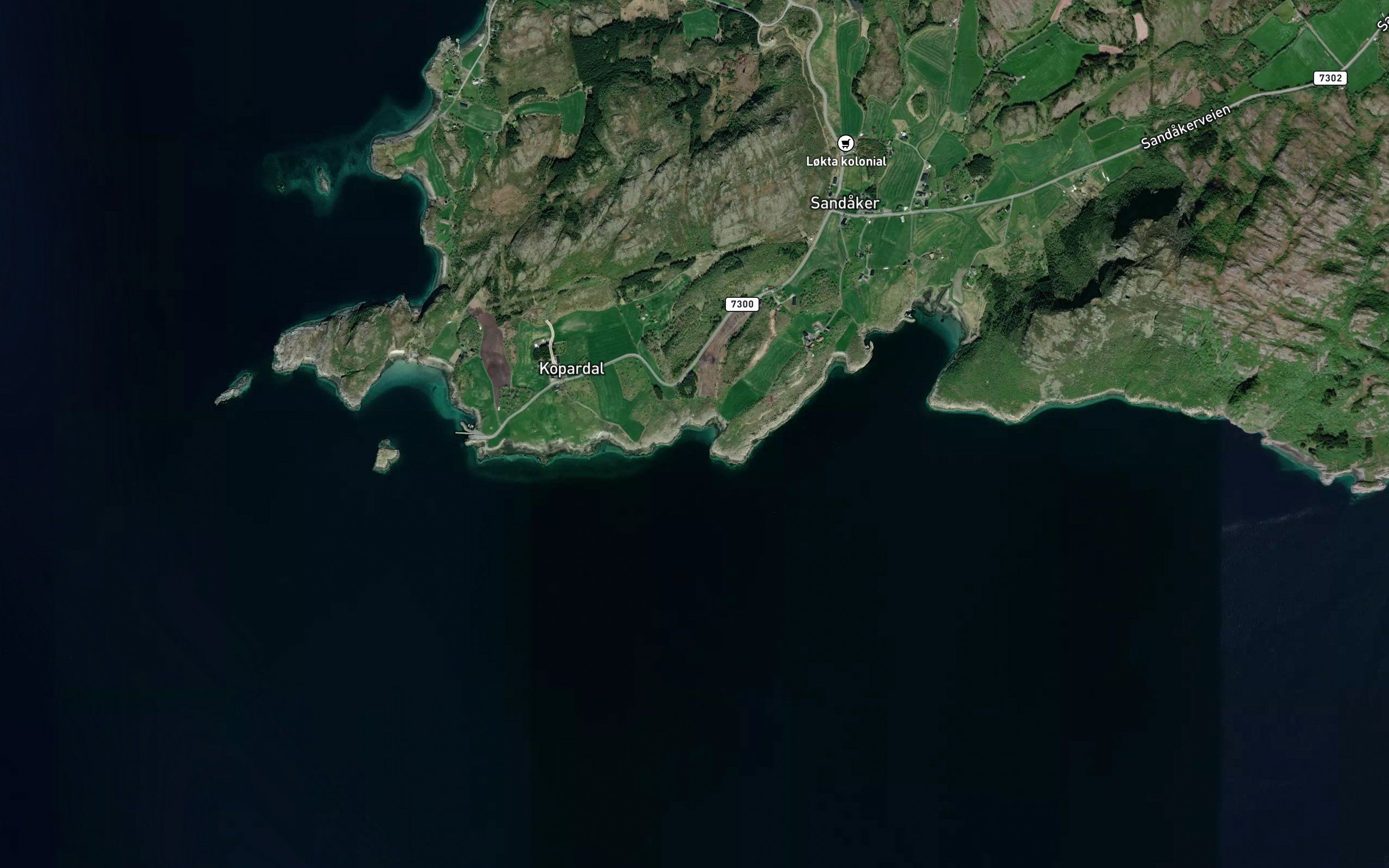 Langnesvikja