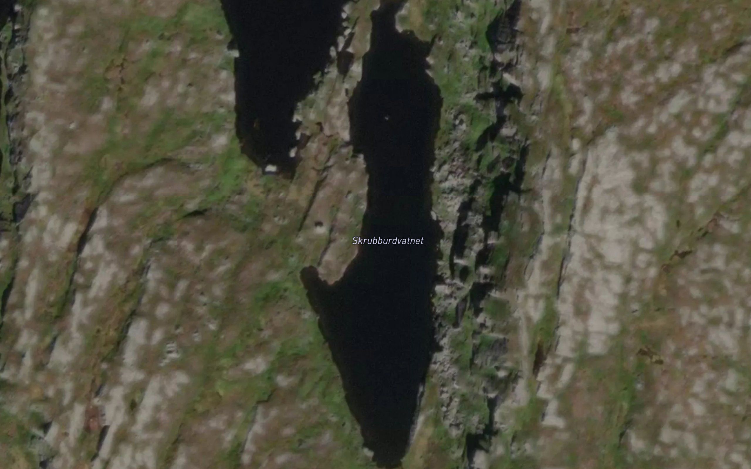 Skrubburdvatnet