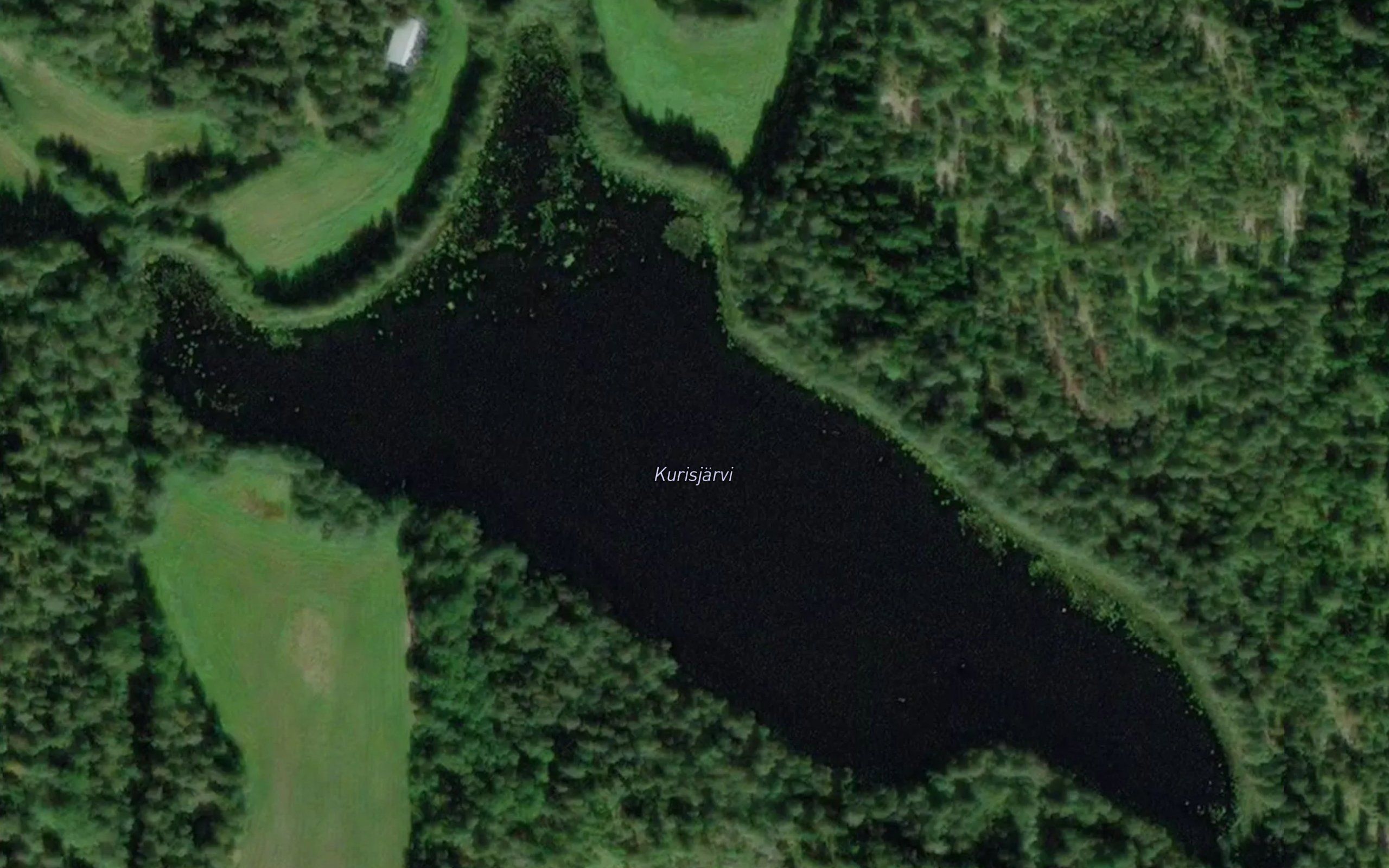 Kurisjarvi