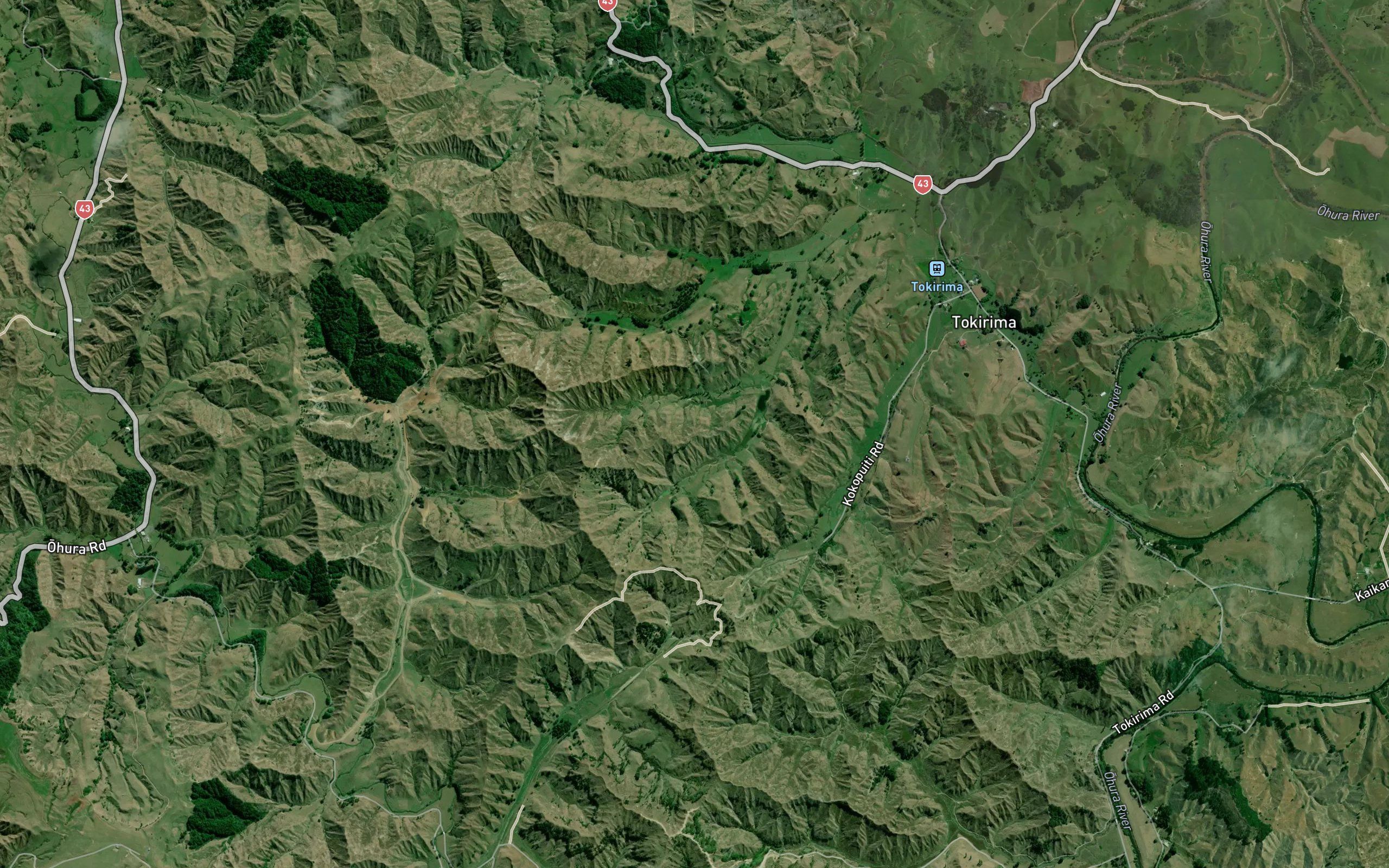 Kokopuiti Stream