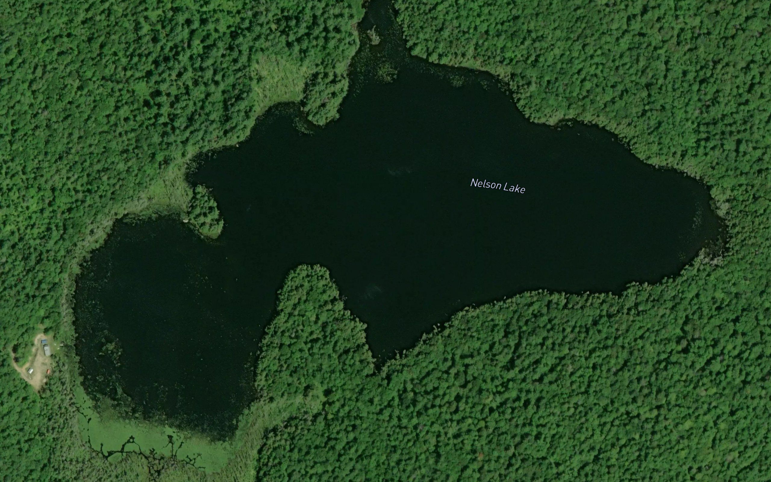 Nelson Lake