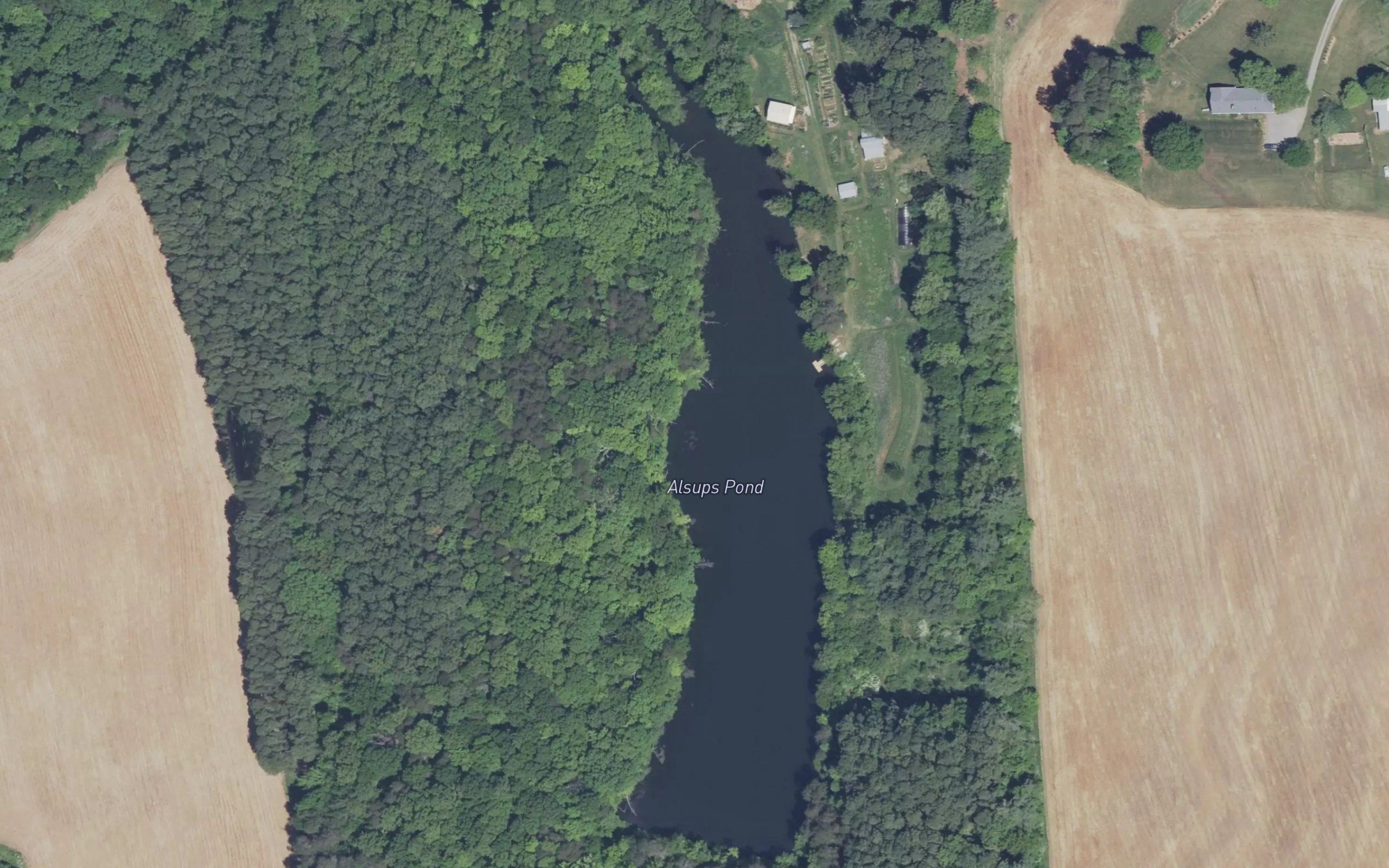 Alsups Pond