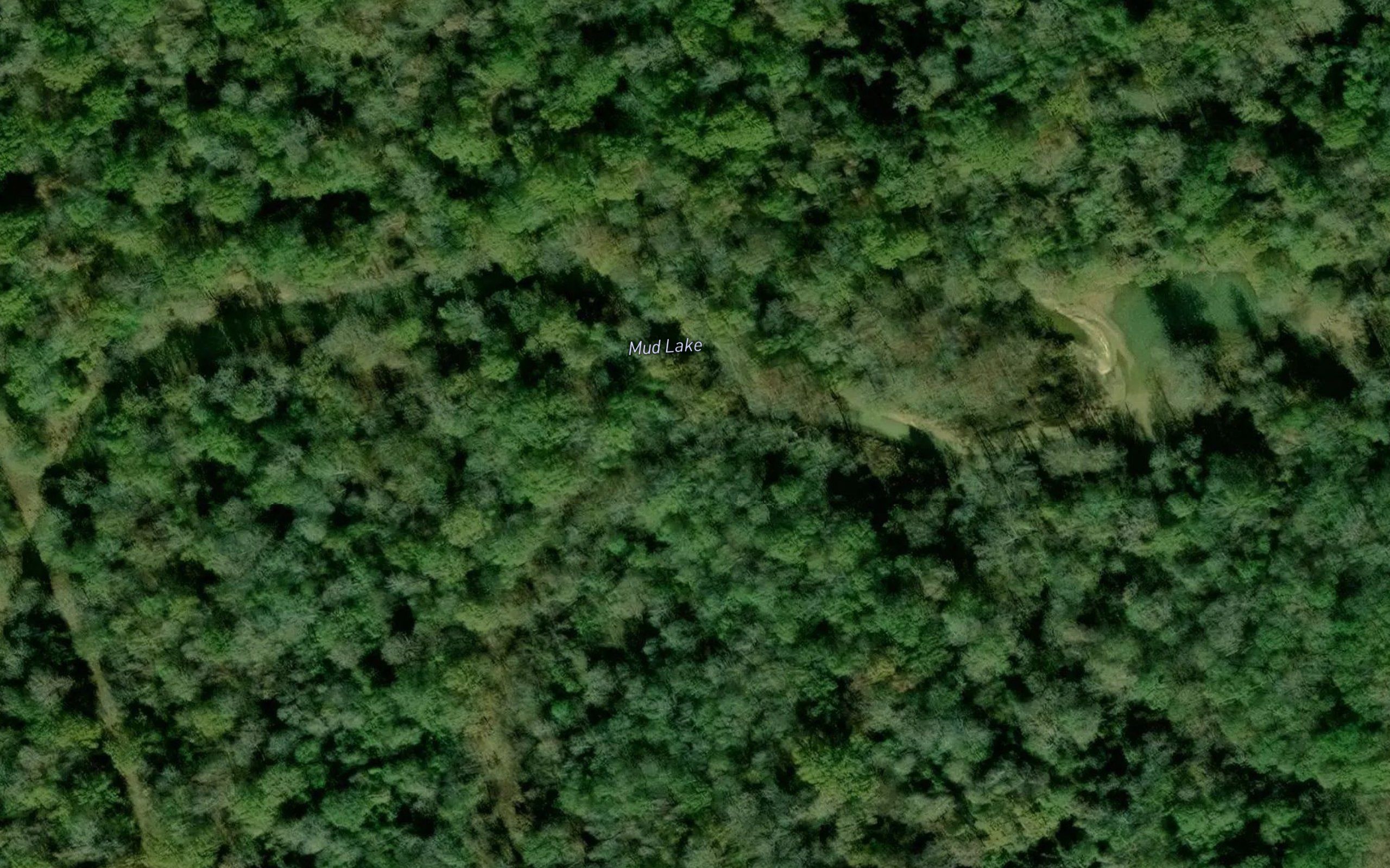 Mud Lake