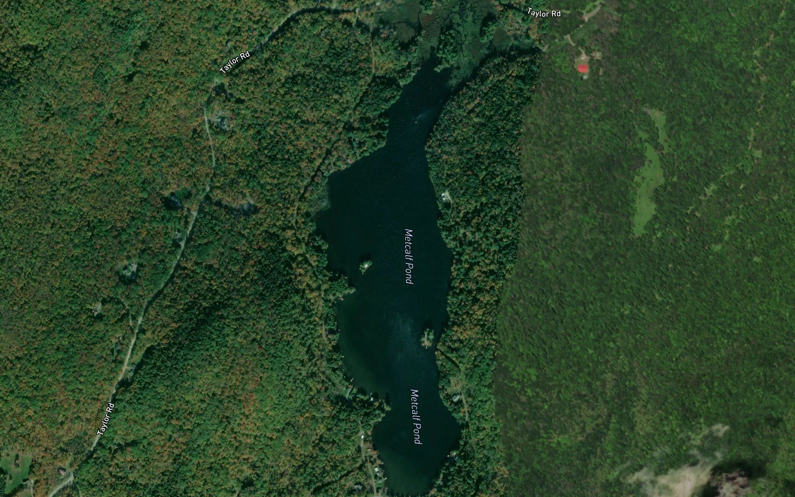 Metcalf Pond